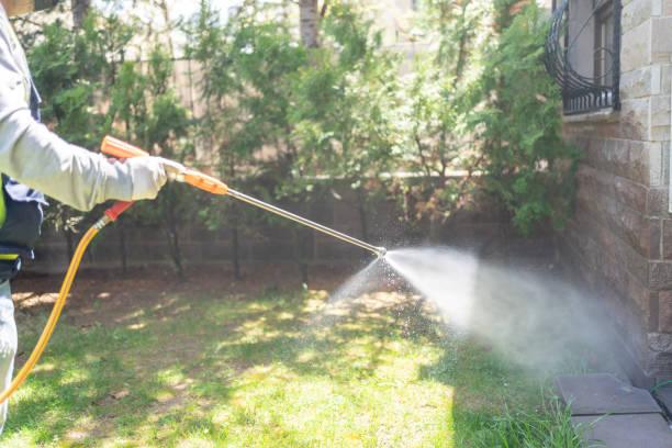 Emergency Pest Control Services in Sugarcreek, PA